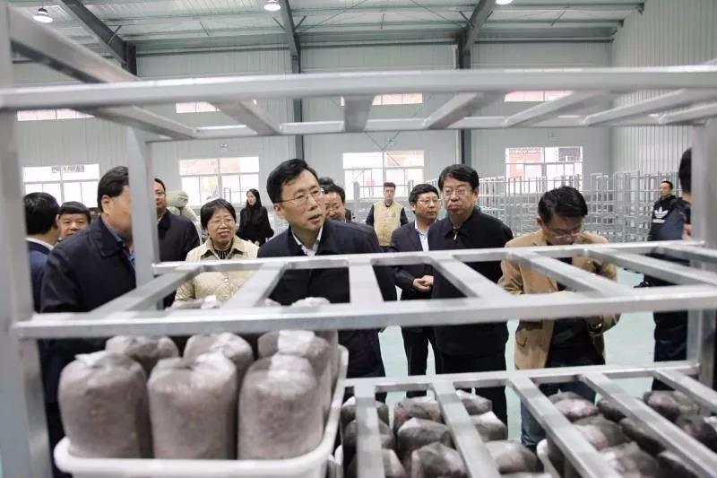 魏增軍副省長一行蒞臨柞水中博農(nóng)業(yè)扶貧項目視察工作